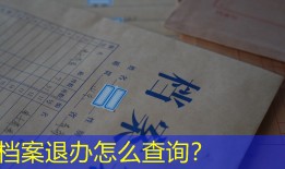 档案退办怎么查询？