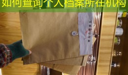 如何查询个人档案所在机构