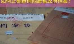 如何正确查询西康省政府档案？