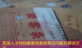 芜湖人才网档案查询系统常见问题及解决方法