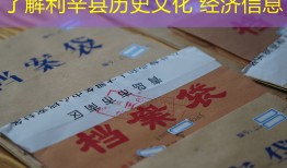 了解利辛县历史文化 经济信息