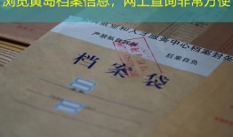 浏览黄岛档案信息，网上查询非常方便