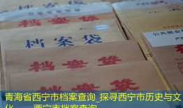 青海省西宁市档案查询_探寻西宁市历史与文化——西宁市档案查询
