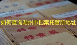 如何查询湖州市档案托管所地址