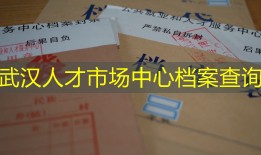 武汉人才市场中心档案查询