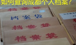 如何查询成都个人档案？
