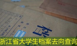浙江省大学生档案去向查询