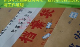 新乡职工档案查询网站：查找您的就业历史与工作证明