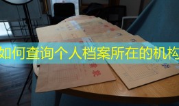 如何查询个人档案所在的机构
