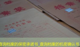 查询档案的保密承诺书_查询档案的机密确认书
