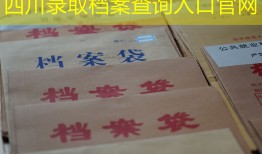四川录取档案查询入口官网