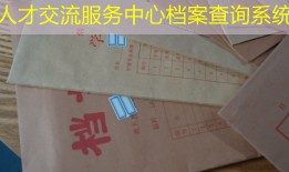 人才交流服务中心档案查询系统