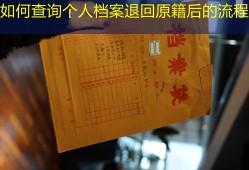 如何查询个人档案退回原籍后的流程