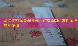 菏泽市档案查询系统：轻松查阅可靠档案信息的渠道