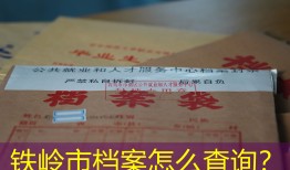 铁岭市档案怎么查询？