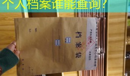 个人档案谁能查询？