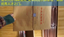 龙华人才档案查询_龙华人力资源管理，解锁优秀人才之门。