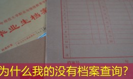 为什么我的没有档案查询？