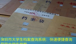 深圳市大学生档案查询系统：快速便捷查询您的大学生档案