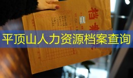 平顶山人力资源档案查询