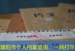 濮阳市个人档案查询，一网打尽