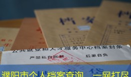 濮阳市个人档案查询，一网打尽