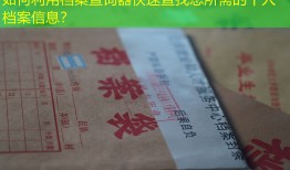 如何利用档案查询器快速查找您所需的个人档案信息？