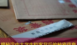 揭秘汉中大学生档案背后的秘密信息
