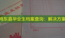 鸡东县毕业生档案查询：解决方案