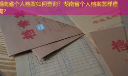湖南省个人档案如何查询？湖南省个人档案怎样查询？