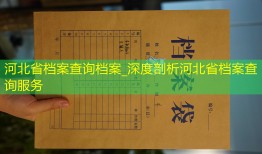 河北省档案查询档案_深度剖析河北省档案查询服务