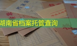 湖南省档案托管查询
