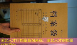 湖北人才厅档案查询系统：湖北人才的档案获取平台