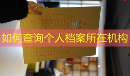 如何查询个人档案所在机构
