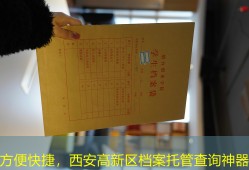 方便快捷，西安高新区档案托管查询神器