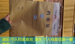 浦东 个人档案查询_浦东 个人档案信息一键查询