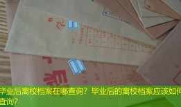 毕业后离校档案在哪查询？毕业后的离校档案应该如何查询？