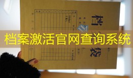 档案激活官网查询系统