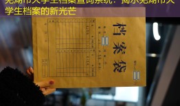 芜湖市大学生档案查询系统：揭示芜湖市大学生档案的新光芒