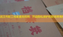 武汉市职工档案查询官网：开启隐私保护的职场常青树