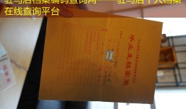 驻马店档案编码查询网——驻马店个人档案在线查询平台