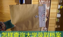 怎样查询大学录取档案
