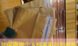 如何查询个人档案所在的机构