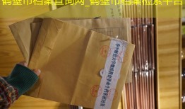 鹤壁市档案查询网_鹤壁市档案检索平台