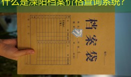 什么是溧阳档案价格查询系统？