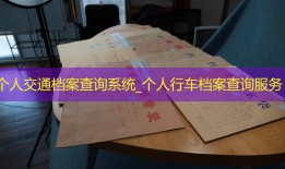 个人交通档案查询系统_个人行车档案查询服务