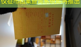 仪征市档案查询系统即将推出