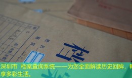 深圳市 档案查询系统——为您全面解读历史回眸，畅享多彩生活。