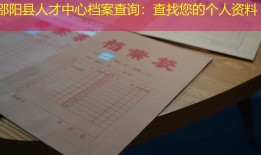 邵阳县人才中心档案查询：查找您的个人资料
