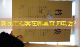新民市档案在哪里查询电话？
